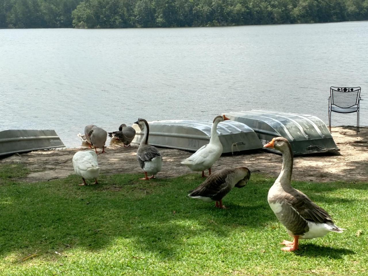 Lake Tiak - O'Khata Resort Louisville Kültér fotó